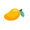 austar_tipo-de-cultivo_mango